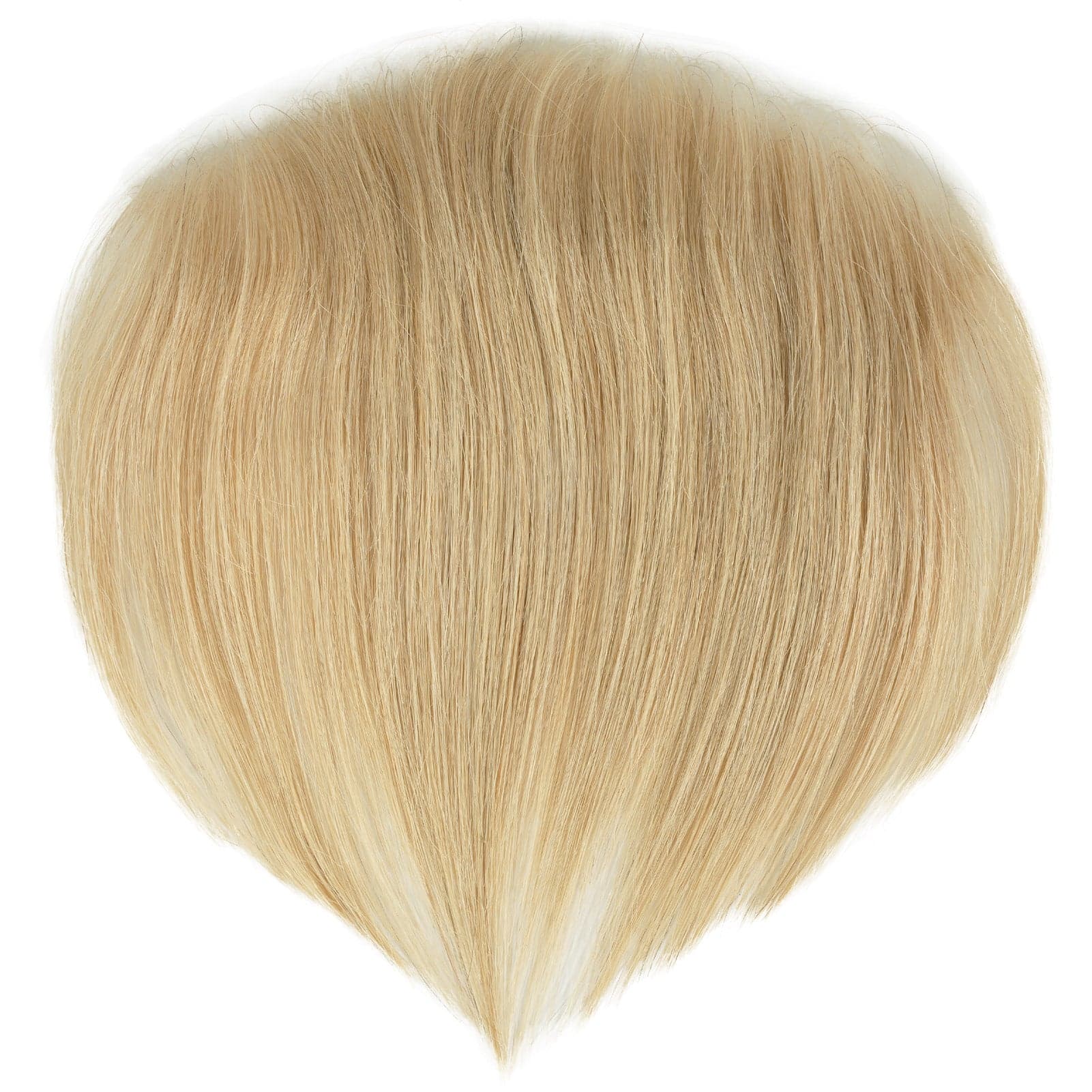 Anemone-Sunlit Blonde